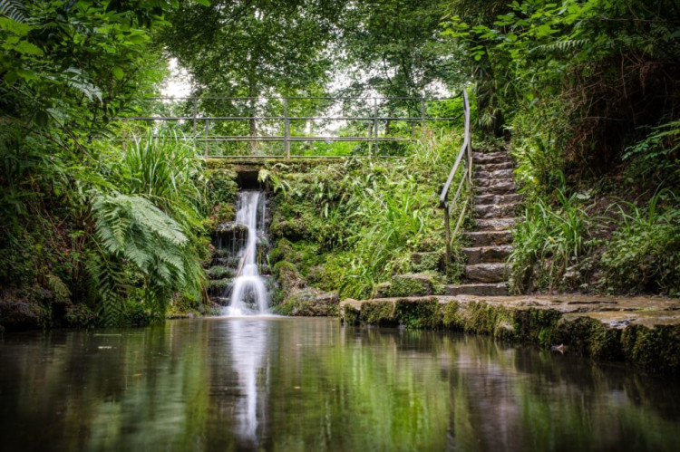 Free August bus day trips from Glastonbury, Street, Wells and Shepton Mallet (Pictured: Ninesprings in Yeovil) 