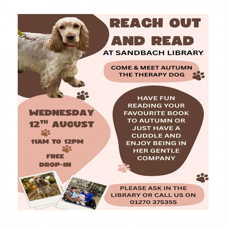 Meet Autumn the Therapy Dog