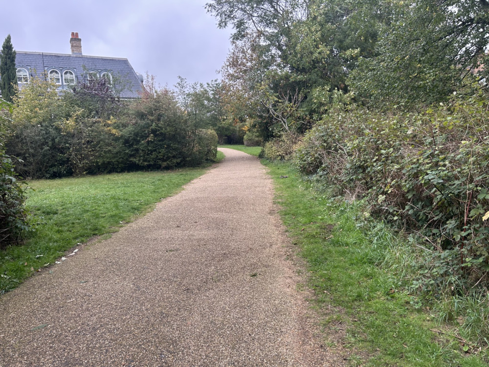 The dangerous tree is located in Teddington's Langdon Park (Credit: Tilly O'Brien)