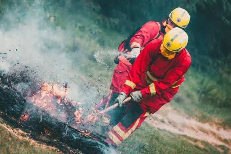 Cheshire Fire & Rescue Service has issued a warning to take extra care after the number of wildfires more than doubles in the past year. (Photo: Cheshire Fire & Rescue Service) 