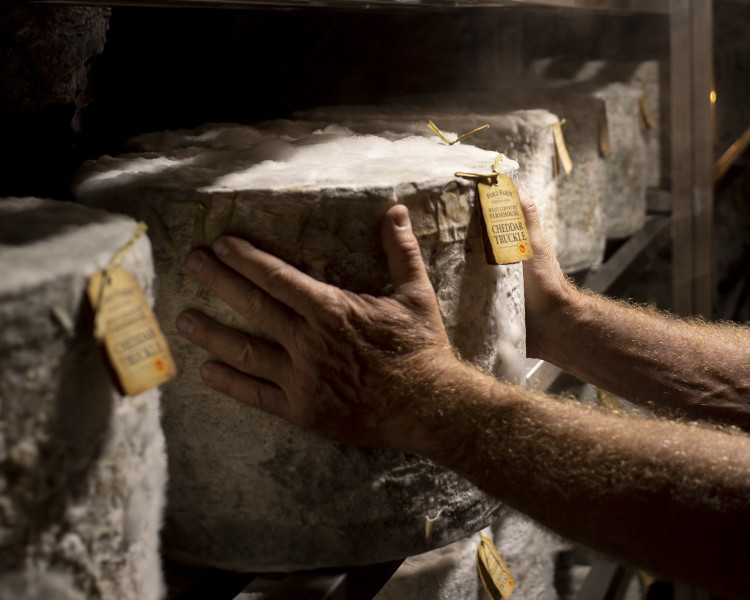 Wookey Hole Cave-Aged Cheddar is marking 20 years underground in Somerset after being named Champion Cheddar at the 2026 awards.