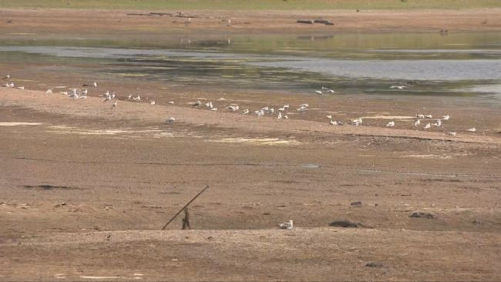 Somerset has been declared in drought after prolonged hot and dry weather, with warnings for rivers, farms, wildlife and water supplies.