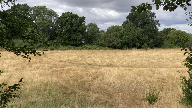 The land next to Swinburne Close, Stafford, as seen from the Rowley Park access, earmarked for development (image via Kerry Ashdown)