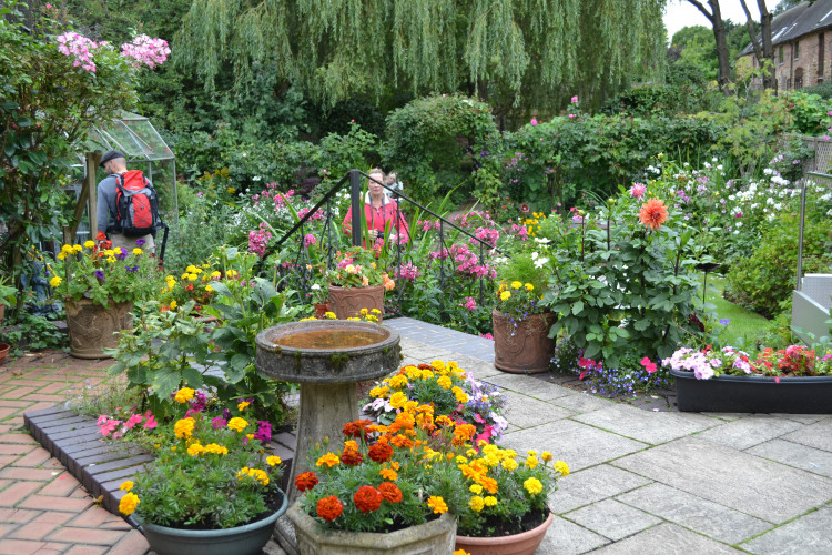 Packington Open Gardens Day