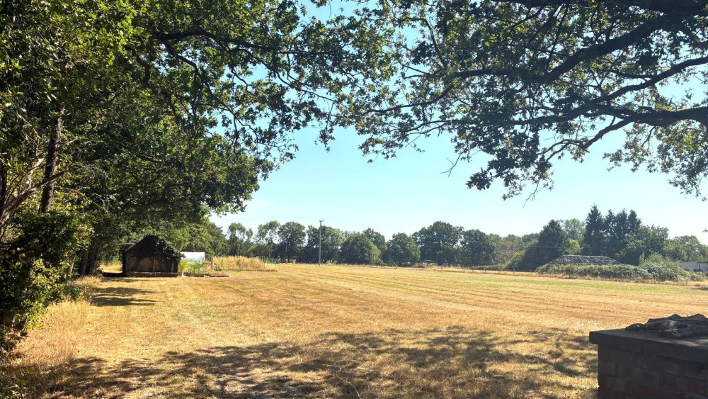 Green belt land off Rumbush Lane (Picture: Sam Greenway LDR)