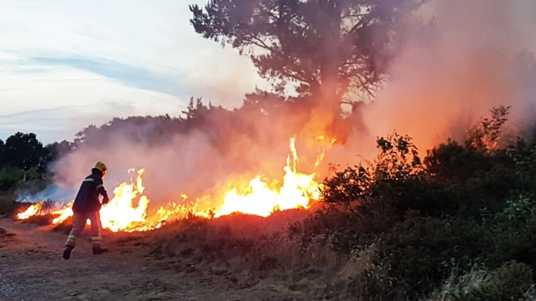 Crews were working hard across Staffordshire yesterday (image via Staffordshire Fire and Rescue Service)