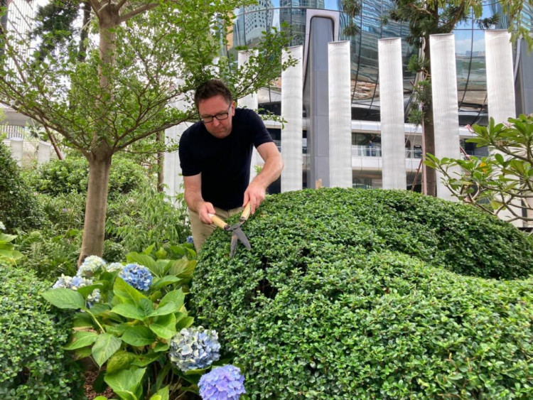 Topiary Beginners workshop