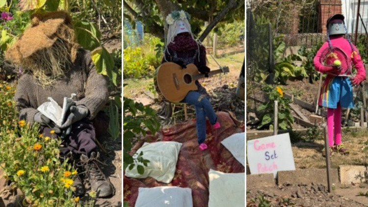 Multiple scarecrows will be on display at Kenilworth's allotments (image supplied)