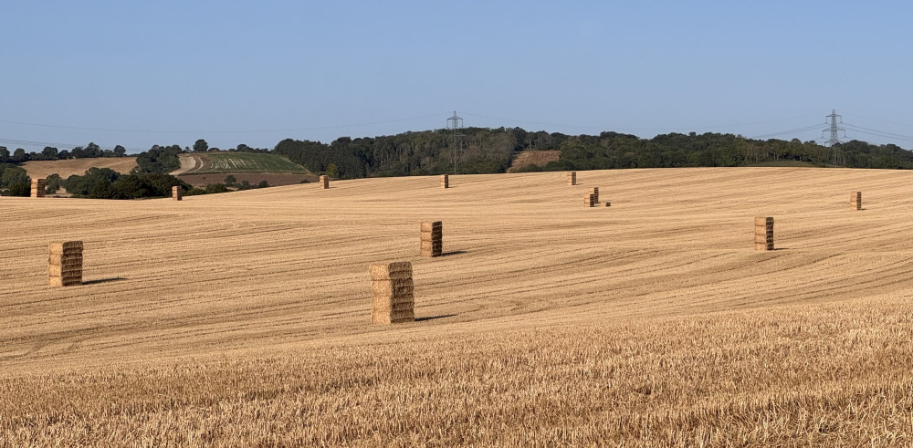 Fields outside of Hitchin 