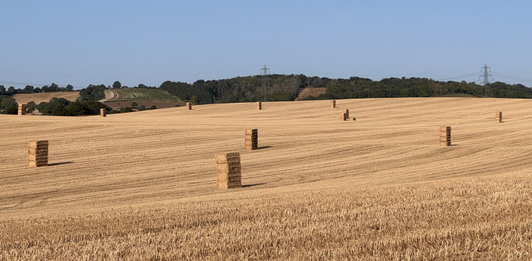 Fields outside of Hitchin 