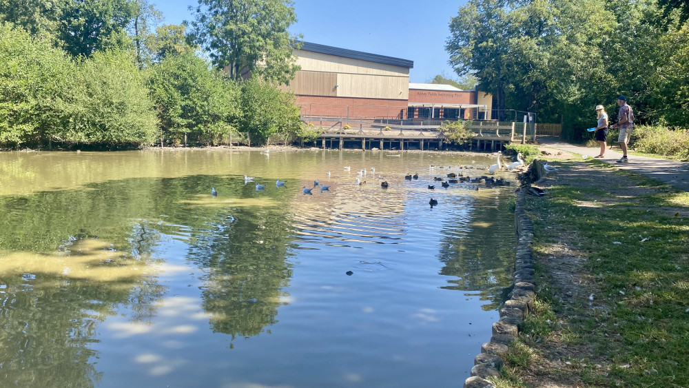 The lake in Abbey Fields is nearly completely dried up (image by Nub News)
