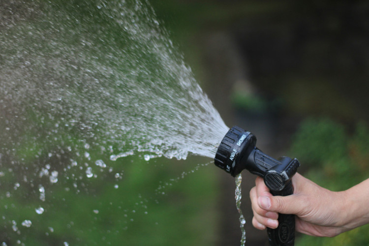 Somerset hosepipe ban: Wessex Water restrictions now in force (Unsplash) 