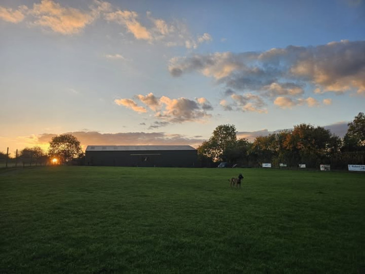 Annual family fun dog show returns to Rutland to support local animal rehabilitation (Photo: Meadow View Dog Paddock)