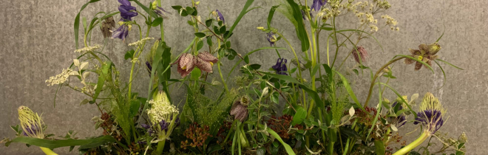 Autumn Equinox Gathering with Amanda Randell Cox