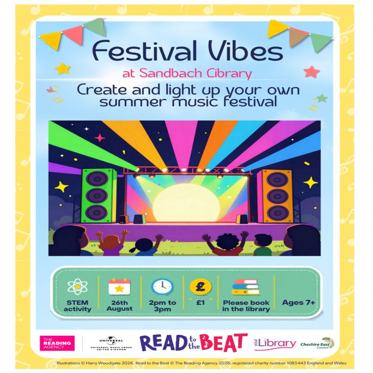 Festival Vibes