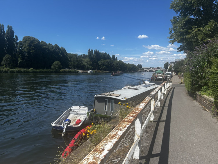 THe River Thames at Kingston was recently designated as London's first official bathing spot (Credit: Tilly O'Brien)