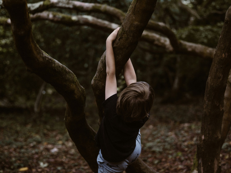 . Here are some of the events still running or taking place over the coming days. (Unsplash) 
