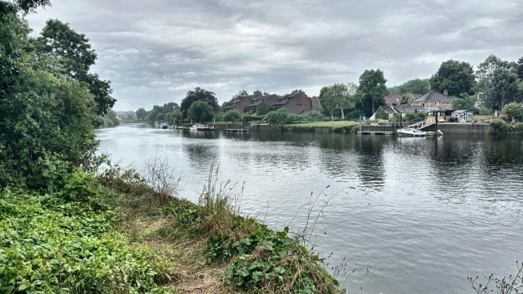 The River Thames near Ham Lands (credit: Charlotte Lillywhite/ LDRS).
