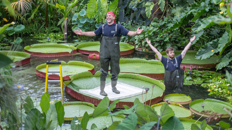 Kew Gardens Botanical horticulturists Martin Silnevs (left) and Aidan Pike (credit: Sebastian Kettley/ RBG Kew).