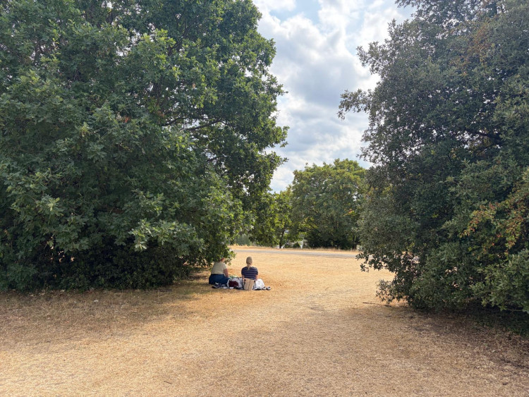 Save Our Lands and River documented Thames Water's recent survey of recreational use of the Burnell Green Space in Kingston (Credit: SOLAR)