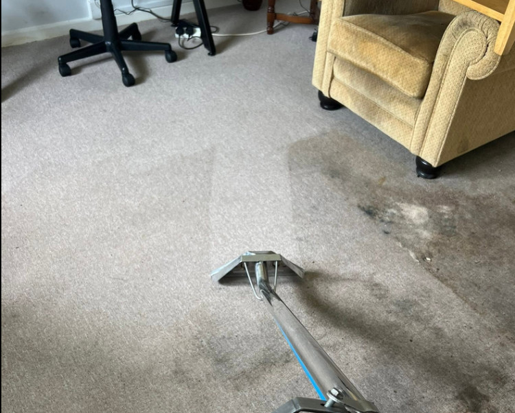 Satisfying: Sleek Easy Clean Ltd have vacancies for specialist cleaners. 
