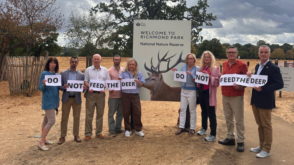 Liberal Democrat councillors have urged visitors to Richmond and Bushy Parks to not feed deer (credit: Image supplied).