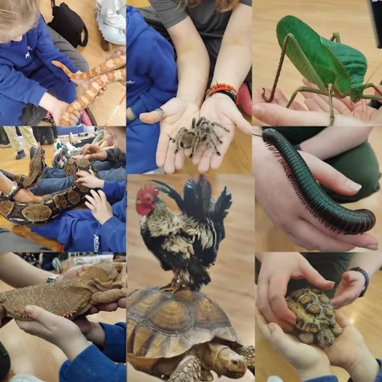 One World Animals - Twickenham