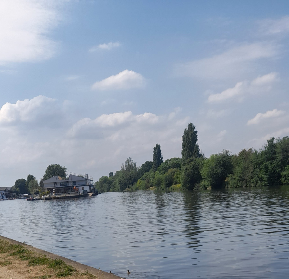 'Is Kingston riverside becoming unsafe for our dogs?' asks Sophia McHardy (Image supplied)