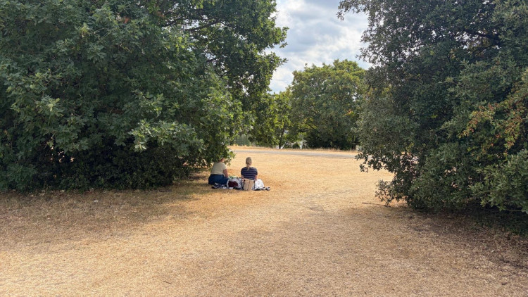 Save Our Lands and River documented Thames Water's recent survey of recreational use of the Burnell Green Space in Kingston (credit: SOLAR).