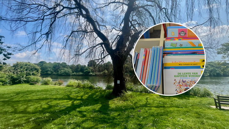 FSG Estate Agent brings free books to Radnor Gardens, Twickenham (credit: Image supplied).
