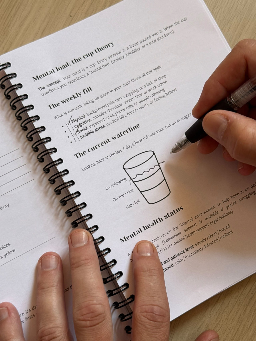 Using the mental health check in pages. (Photo: David Cartwright)