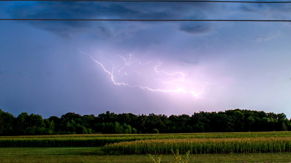 Read advice below to stay safe (image via Anton Kudryashov on Pexels)