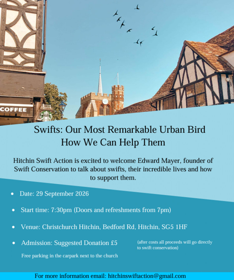 Swift talk with Edward Mayer: Our most remarkable urban bird