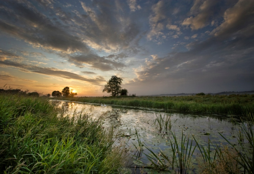  Somerset Levels National Park status will be put under the spotlight at a public event in Glastonbury this October.