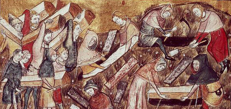 The Black Death ravaged Somerset in 1348-49, dramatically altering social and economic structures and paving the way for change and resilience.