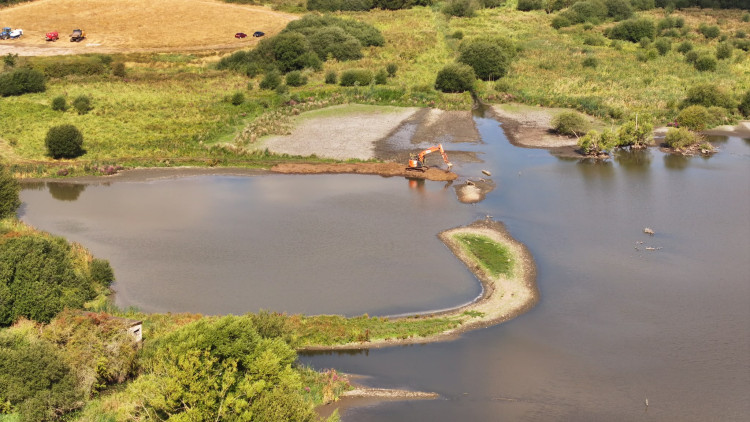Island making in the pool at Doxey Marshes Nature Reserve in Stafford (image via Ebsford Environmental Ltd)