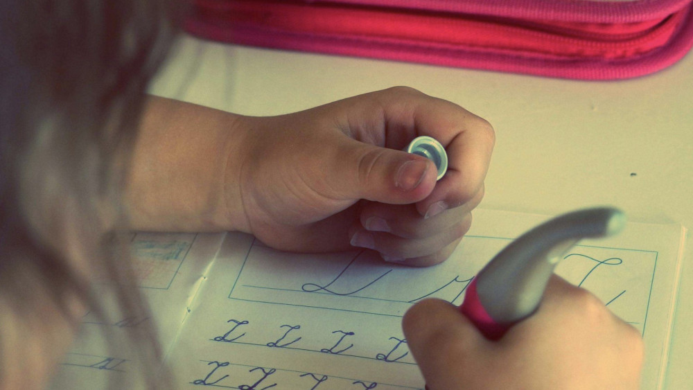 A report on the complaints was scrutinised by councillors during the latest meeting of the children's services and education scrutiny board (Image: pxfuel)