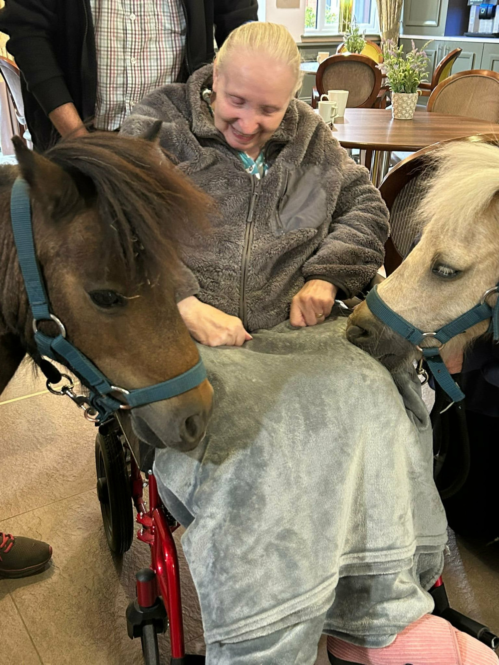 Twyford House Care Home resident, Jill, revealed her equestrian past when two Shetland ponies came to visit. (Photo: Lovett Care) 