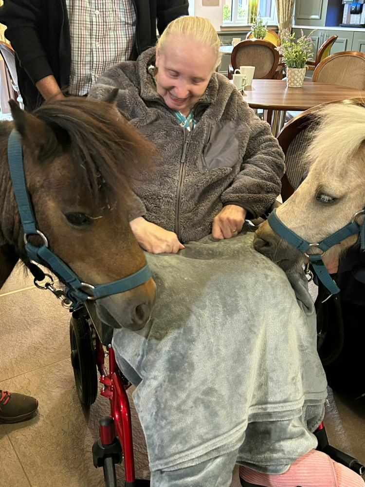Twyford House Care Home resident, Jill, revealed her equestrian past when two Shetland ponies came to visit. (Photo: Lovett Care) 