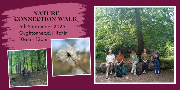 Monthly Nature Connection walk