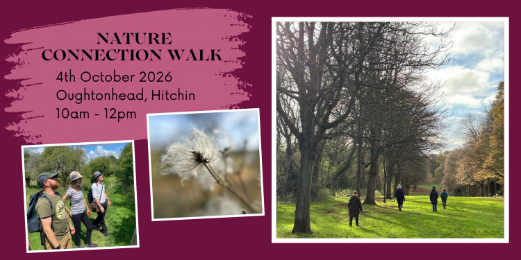 Monthly Nature Connection walk