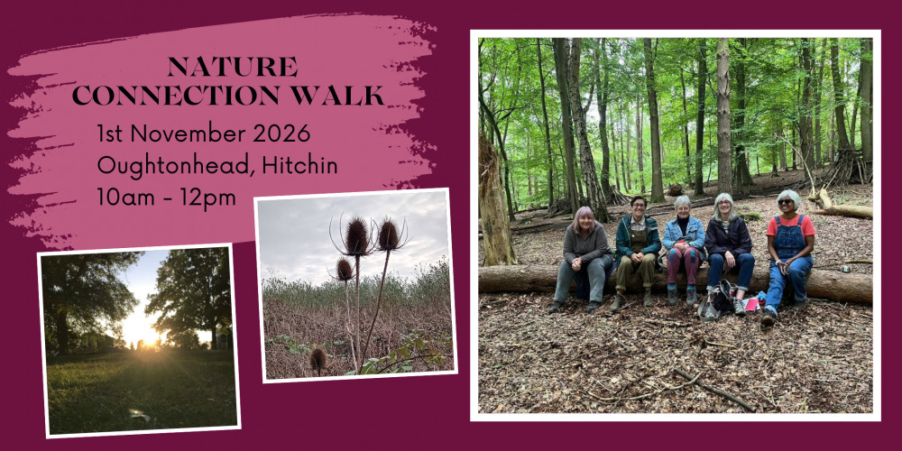 Monthly Nature Connection walk