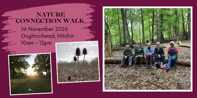 Monthly Nature Connection walk