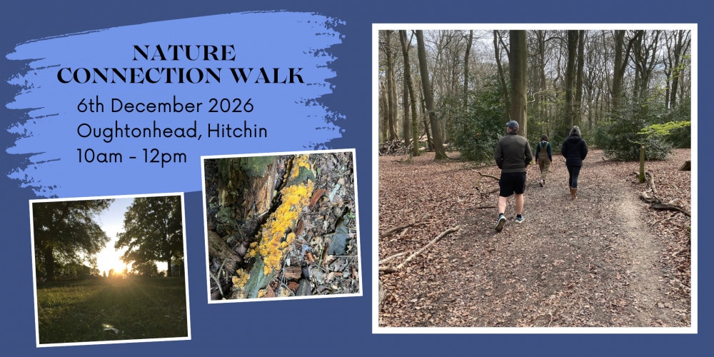 Monthly Nature Connection walk