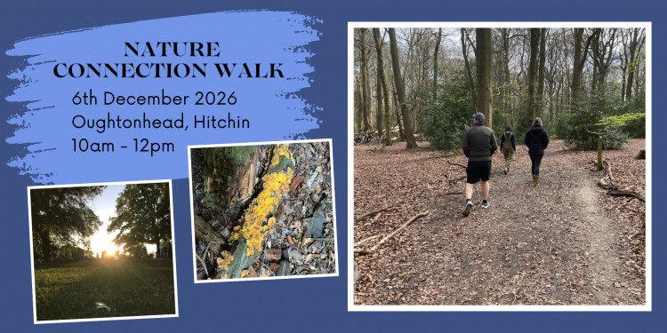 Monthly Nature Connection walk