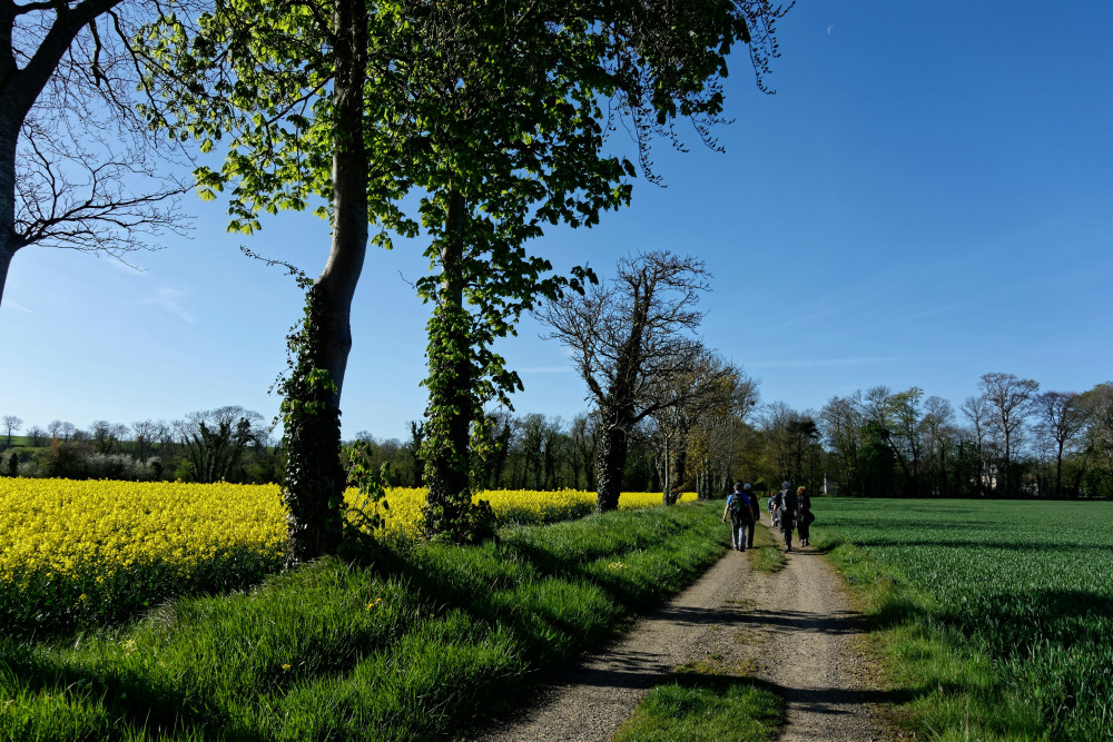 Shepton Mallet Festival of Walking 2026 returns in September (Unsplash) 