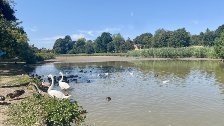 Here are the biggest council stories from the last month (image by Nub News)