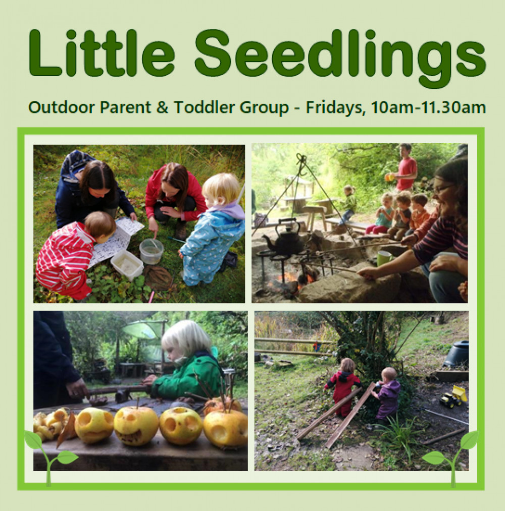 Little Seedlings Parent & Toddler Group