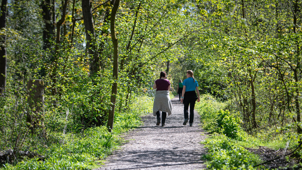 Visitors can now enjoy 2,500m of surfaced pathways at Hem Heath Woods (image via Sarah Davison)