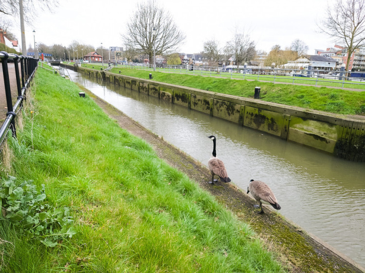 Kingston Council has raised 'concerns' about Thames Water's Teddington Direct River Abstraction (TDRA) project (Credit: Nub News)